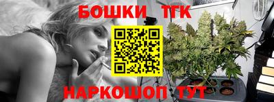 крисы Малгобек