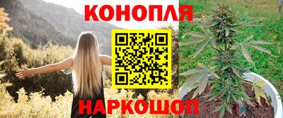 МДПВ Ливны