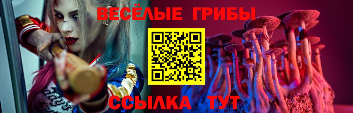 Галлюциногенные грибы Cubensis Химки