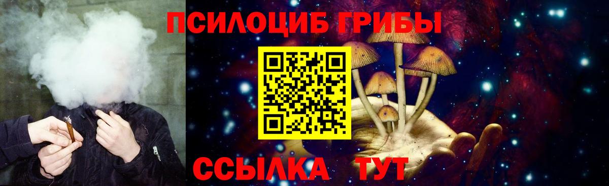 Химки  Галлюциногенные грибы мицелий  Вход с VPN  Псилоцибиновые грибы ЛСД 